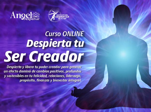 paweb servicios 01