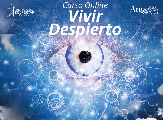 paweb servicios 02