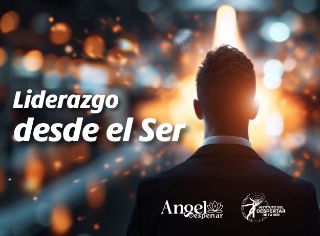 paweb servicios 03