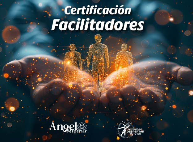 paweb servicios 04